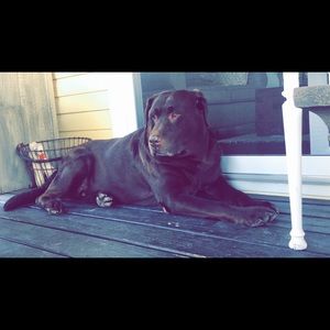 Meet your Posher, Katie